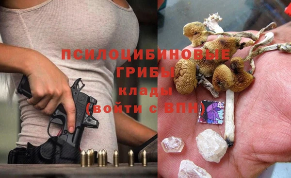 спиды Алзамай