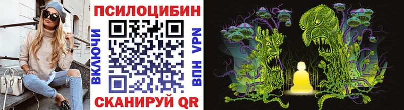 Псилоцибиновые грибы Psilocybine cubensis  закладки  Тобольск 