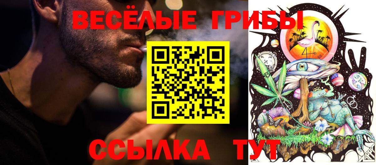 Галлюциногенные грибы мухоморы Тобольск