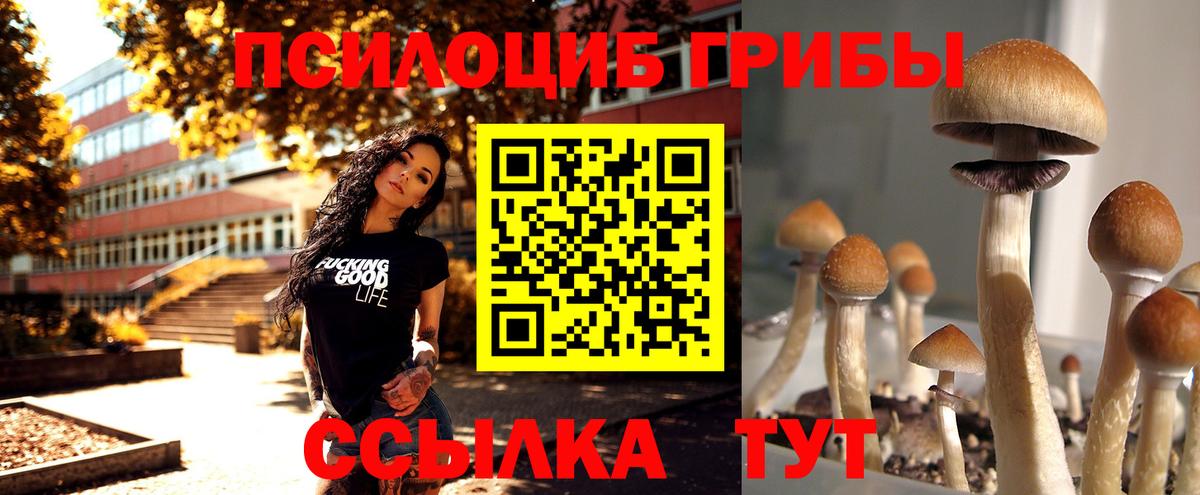 Тобольск  Псилоцибиновые грибы мухоморы  купить наркотики цена  Вход с VPN 